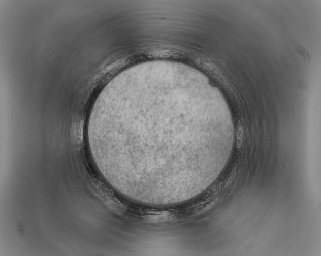 X0000112960454200909241203