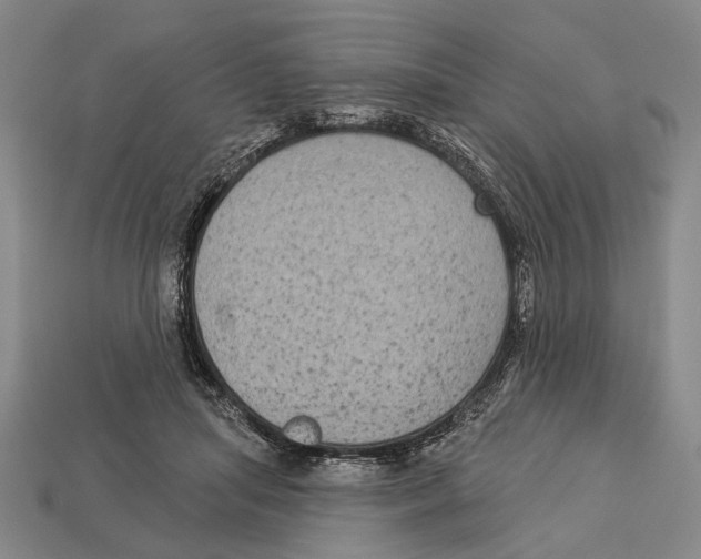 X0000112960455200909241203