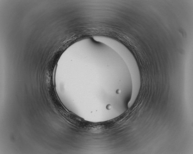 X0000112960456200909241203