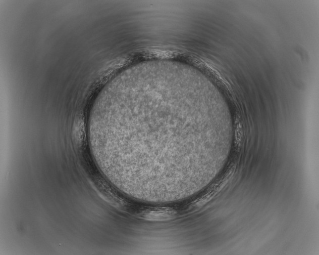 X0000112960459200909241203