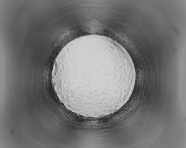 X0000112960461200909241203