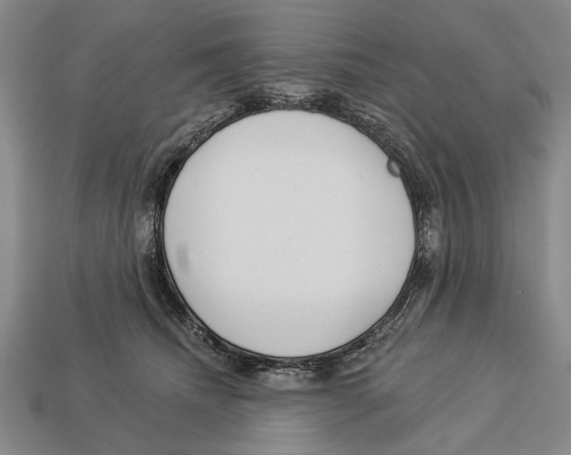 X0000112960468200909241203