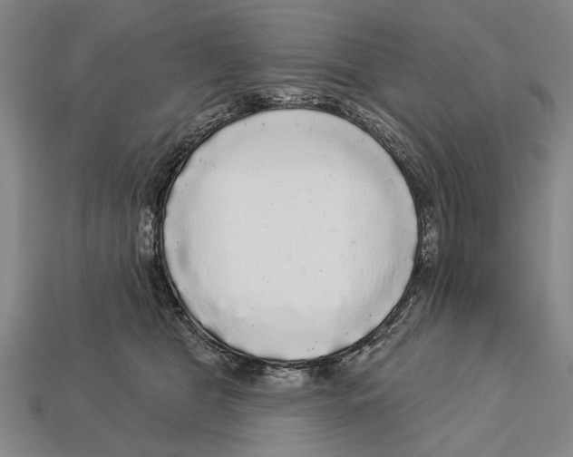 X0000112960469200909241203