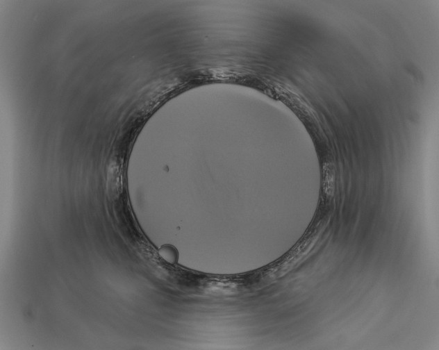 X0000112960471200909241203