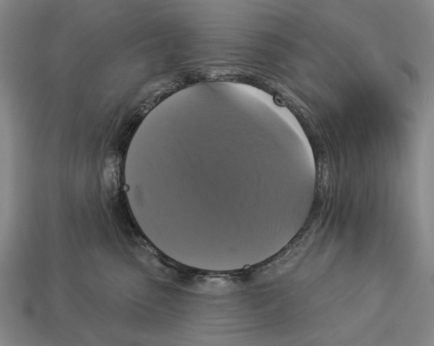 X0000112960475200909241203