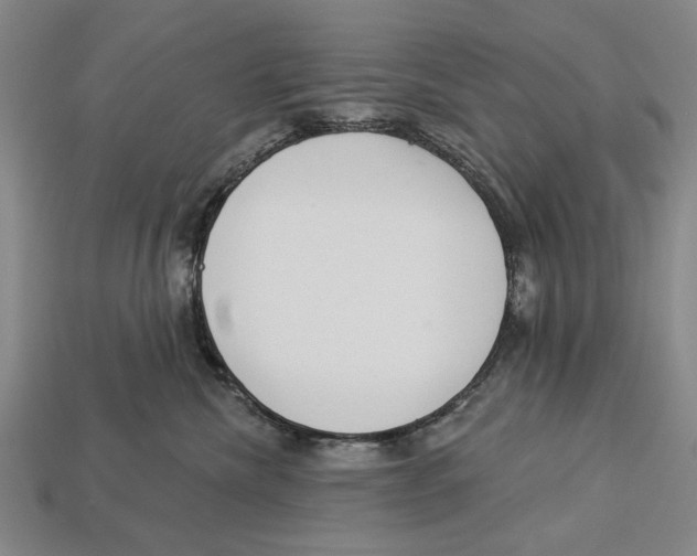 X0000112960476200909241203