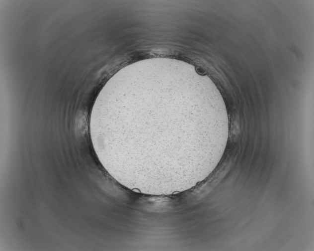 X0000112960478200909241203