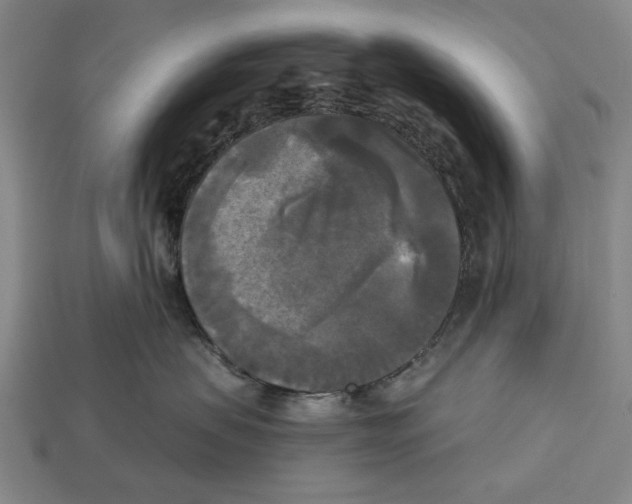 X0000112960479200909241203