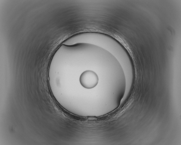 X0000112960481200909241203