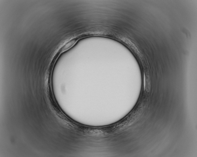 X0000112960483200909241203