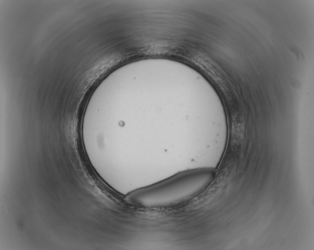 X0000112960485200909241203