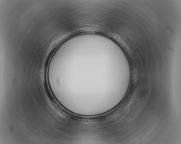 X0000112960486200909241203