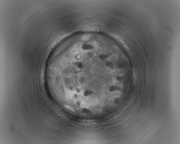 X0000112960487200909241203