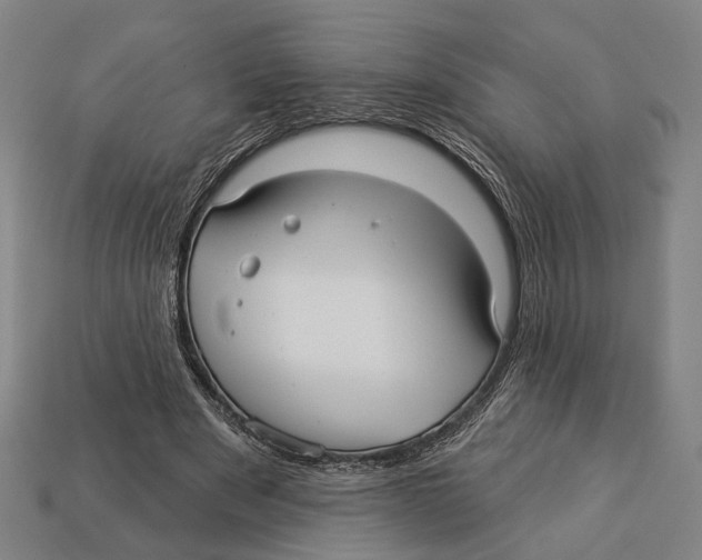 X0000112960489200909241203