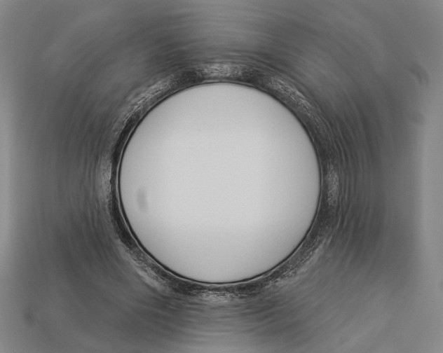 X0000112960490200909241203