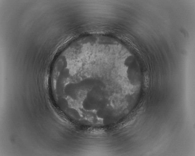 X0000112960491200909241202