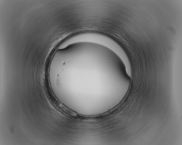 X0000112960492200909241202