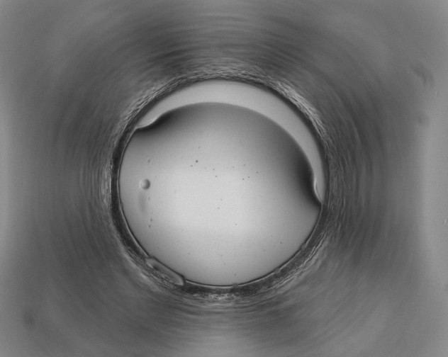 X0000112960493200909241202