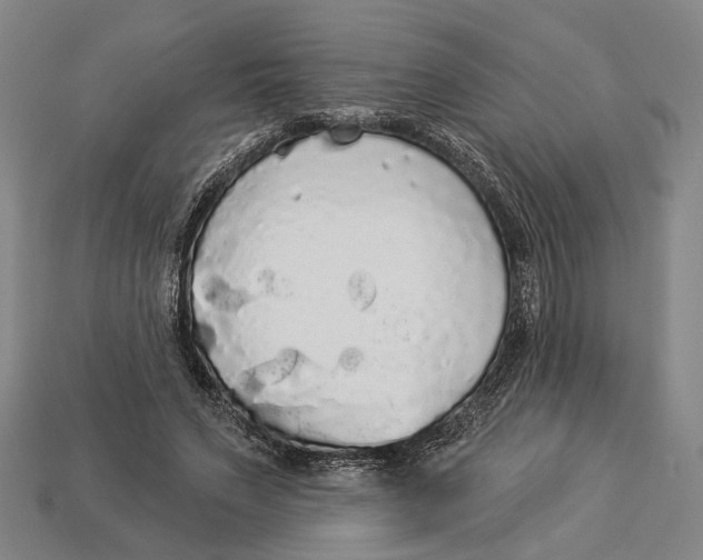 X0000112960495200909241202