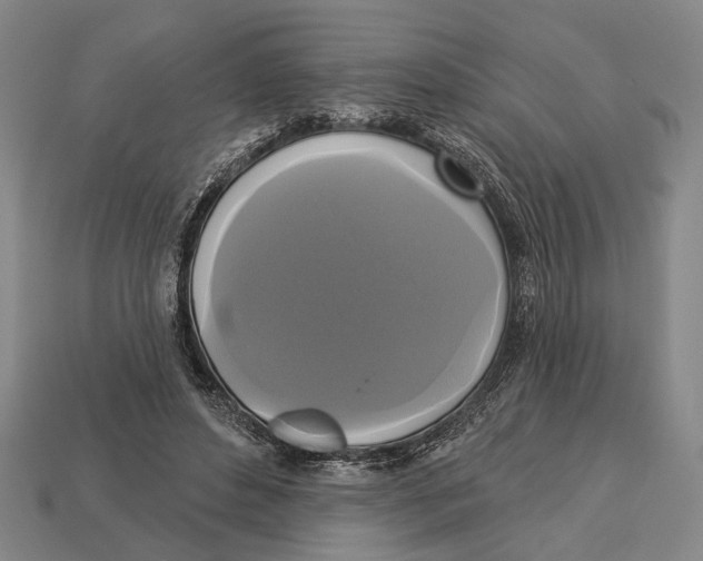 X0000112960496200909241202