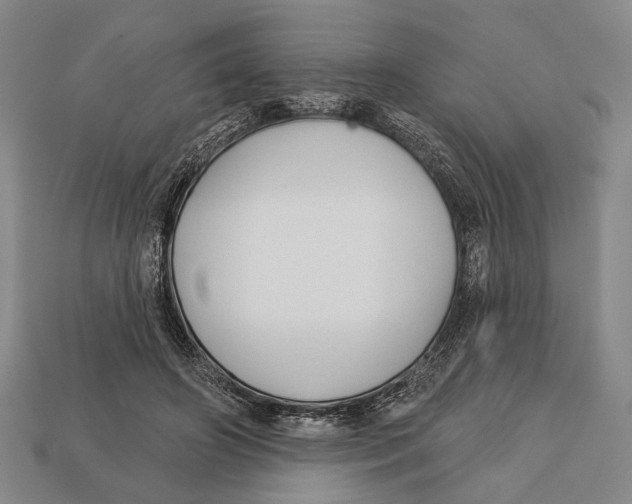 X0000112960498200909241202