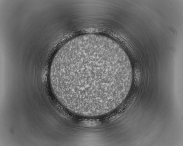 X0000112960499200909241202