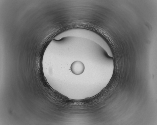 X0000112960501200909241202