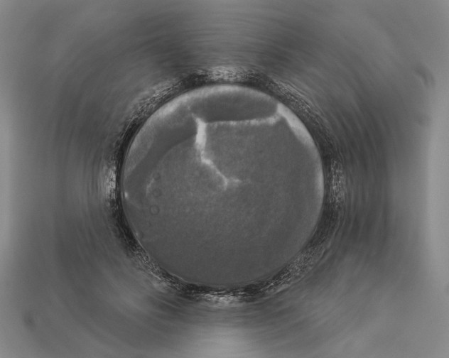 X0000112960502200909241202