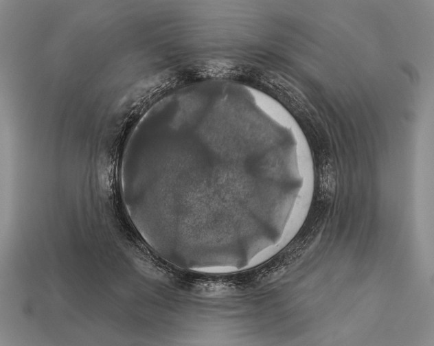 X0000112960503200909241202