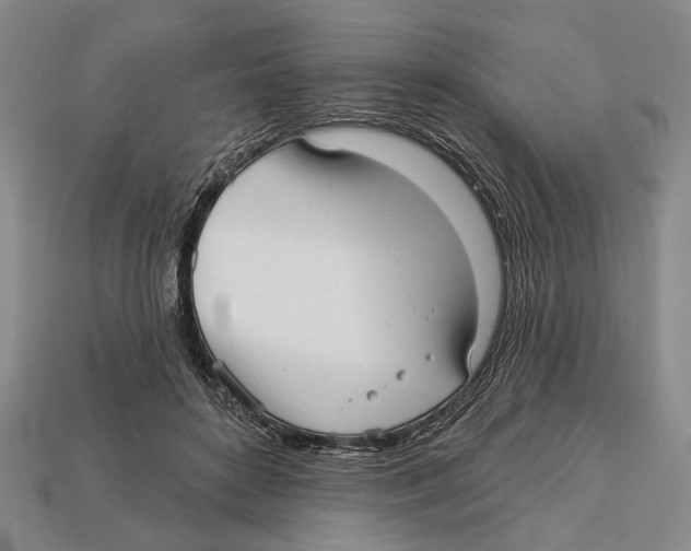 X0000112960504200909241202