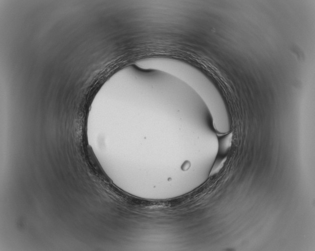 X0000112960505200909241202