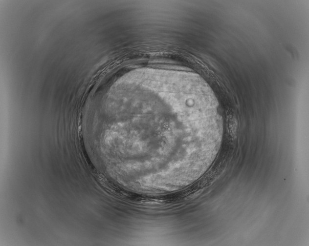 X0000112960507200909241202