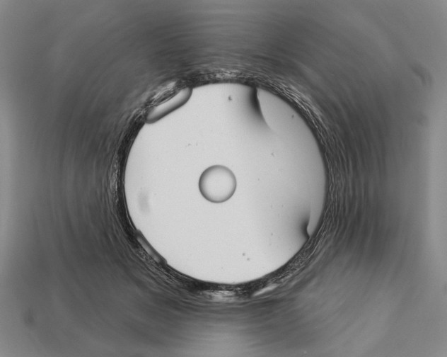 X0000112960509200909241202