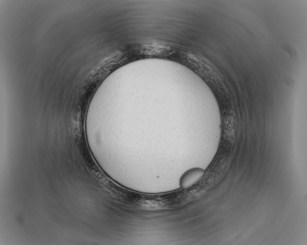 X0000112960510200909241202