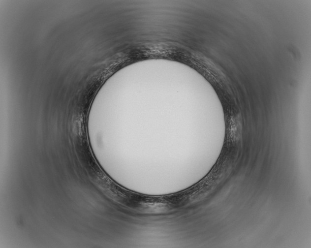 X0000112960514200909241202