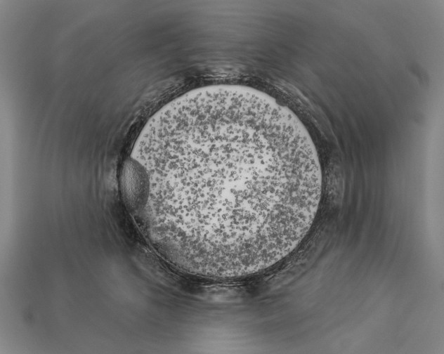 X0000112960516200909241202