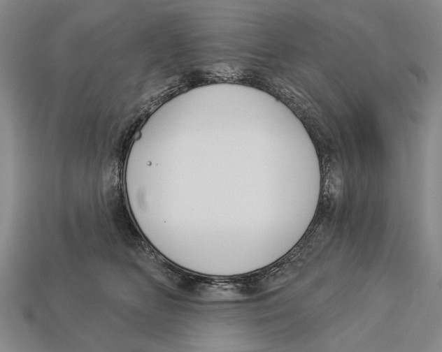 X0000112960518200909241202