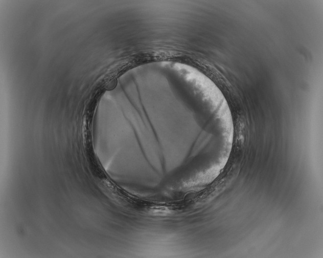 X0000112960519200909241202