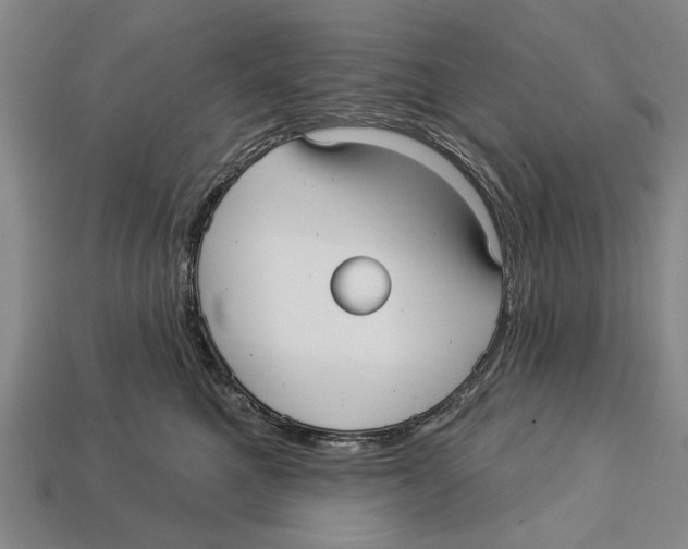 X0000112960521200909241202