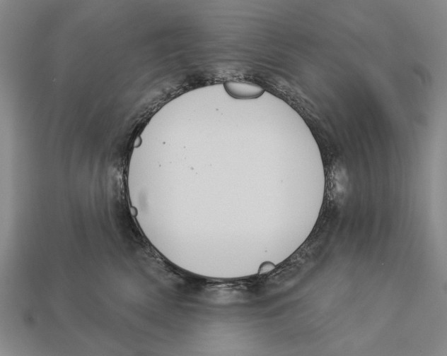 X0000112960522200909241202