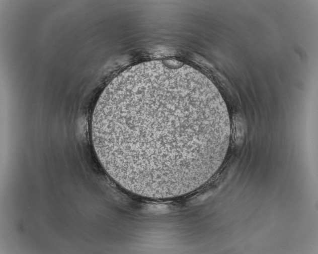 X0000112960523200909241202