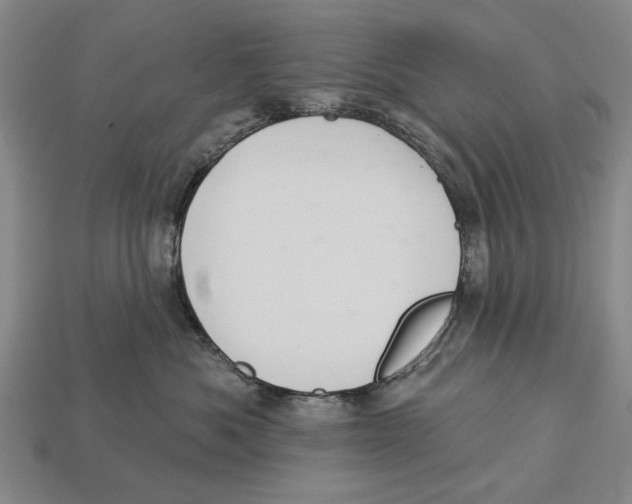 X0000112960525200909241202