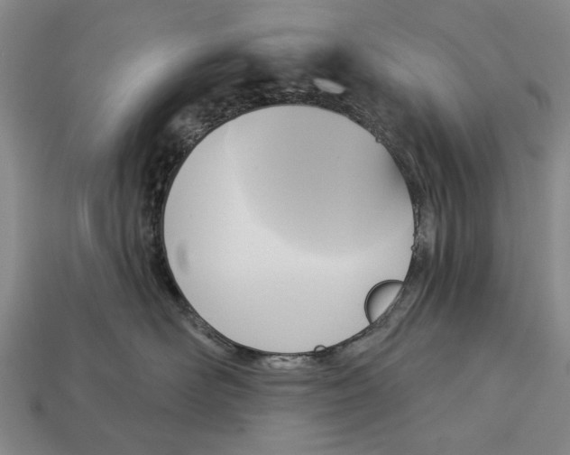 X0000112960526200909241202