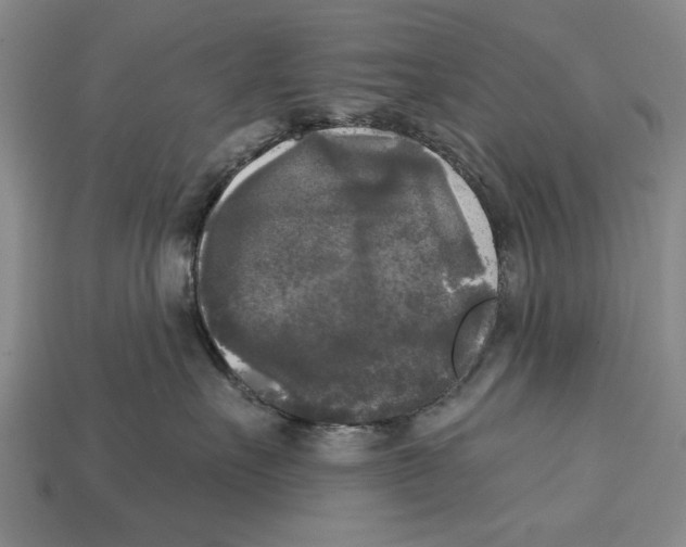 X0000112960527200909241202