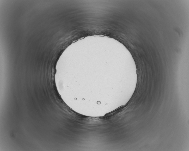 X0000112960528200909241202