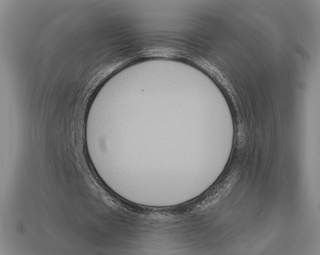 X0000112960529200909241201