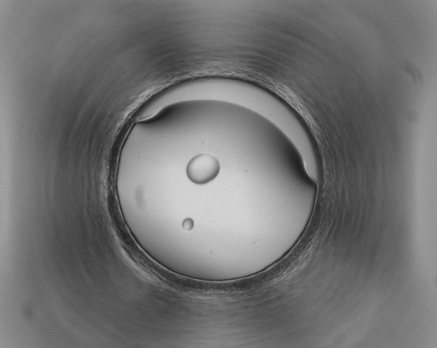 X0000112960530200909241201