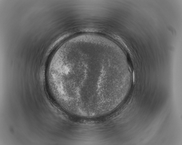 X0000112960531200909241201