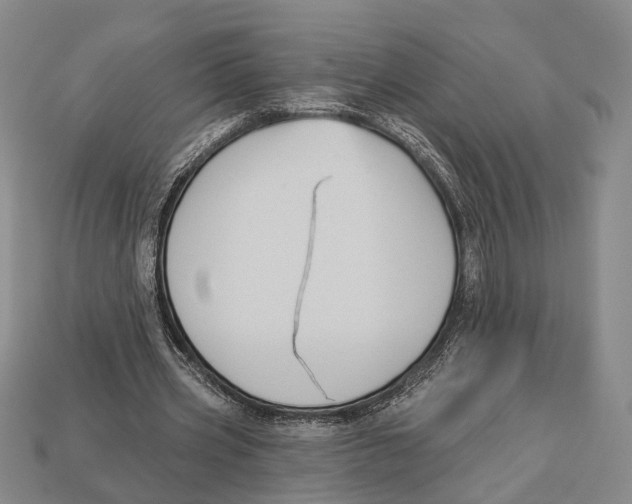 X0000112960533200909241201