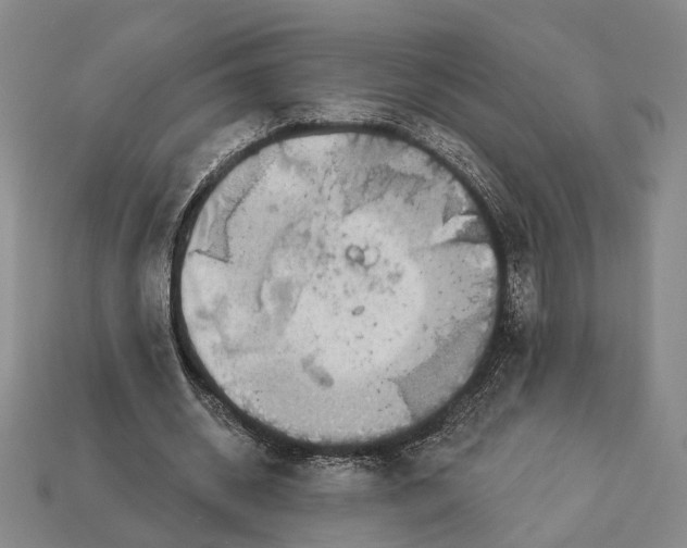 X0000112960534200909241201